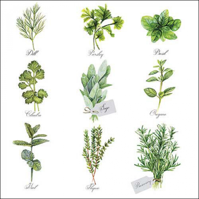 Servietten Herbs Selection 33x33cm 20 Stück 3-lagig 100% FSC