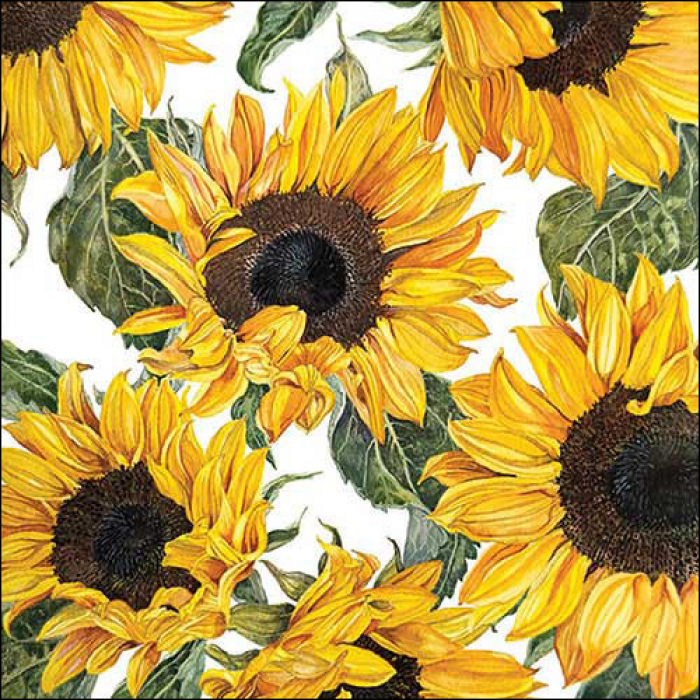 Ambiente Servietten  Sunflower 33x33cm 20Stück