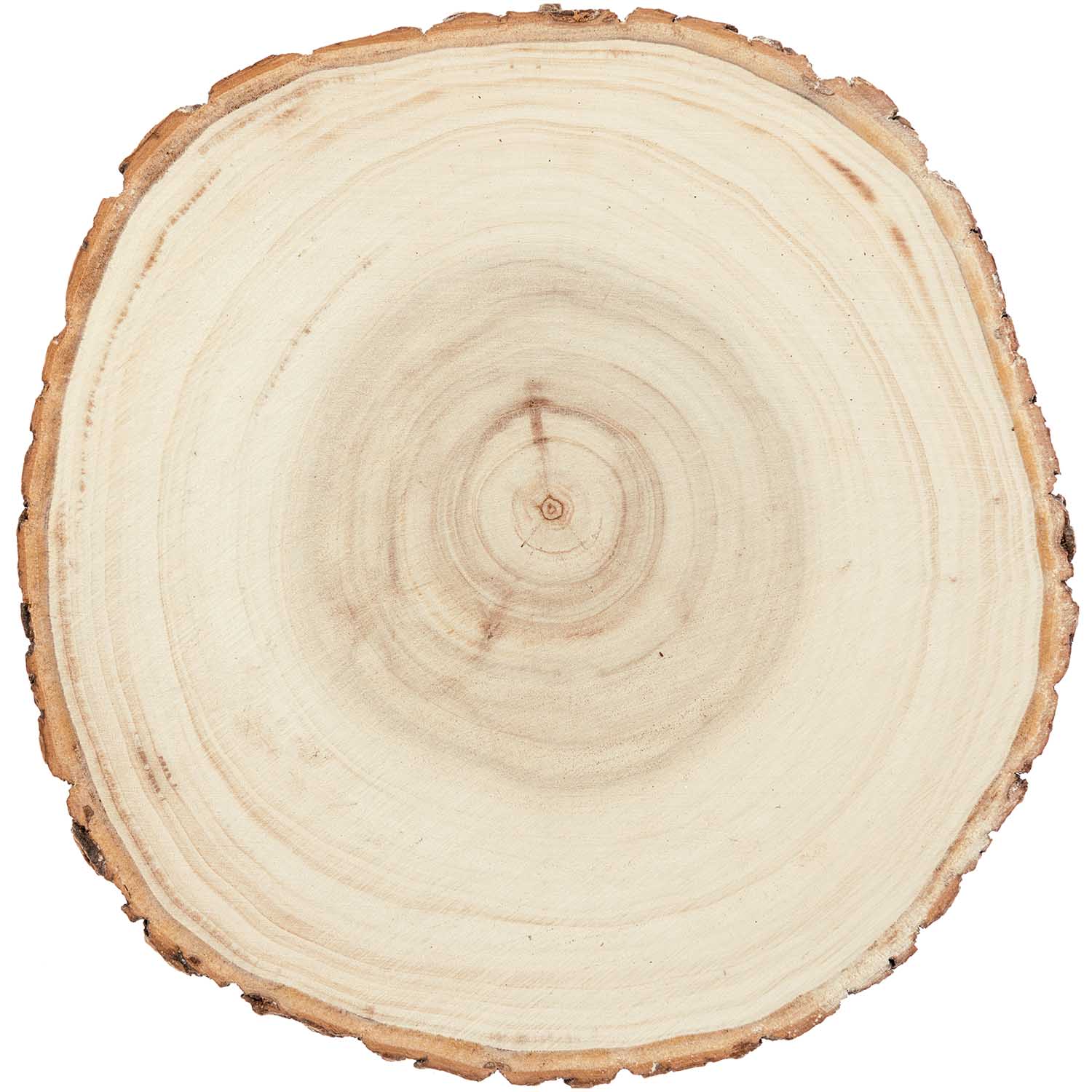 Holzscheibe Natur mit Rinde 16-19cm Wooden Disk