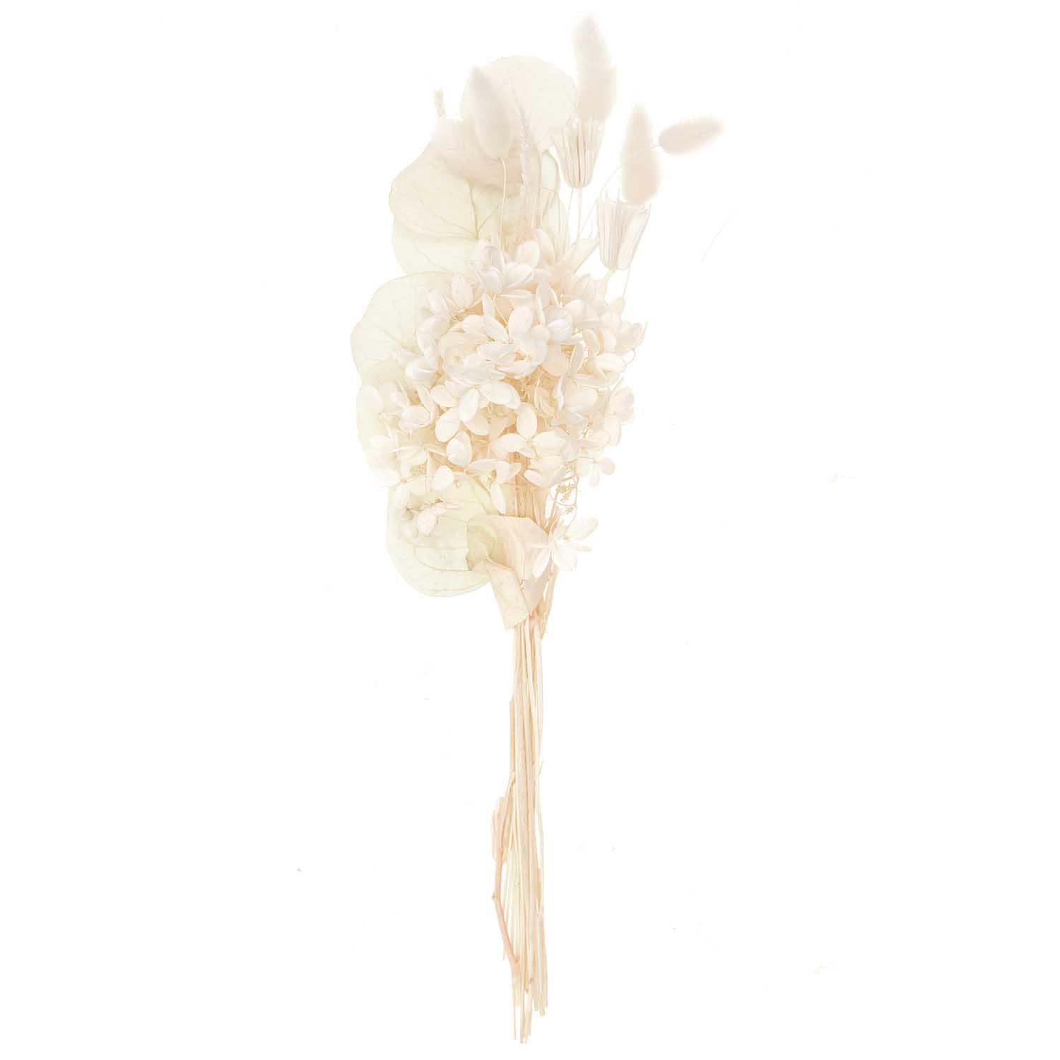 Trockenblumen Set natur weiß 30-35cm