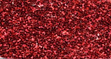 Brilliantglitter 5 g rubinrot