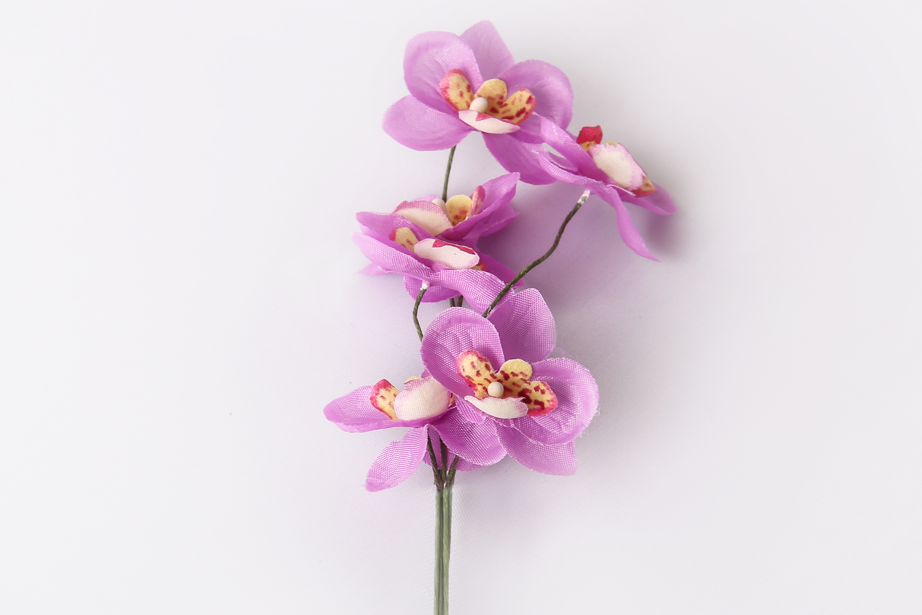 Miniorchidee, Blüte 2,5 cm am Stiel, 6 STk./Bund, flieder