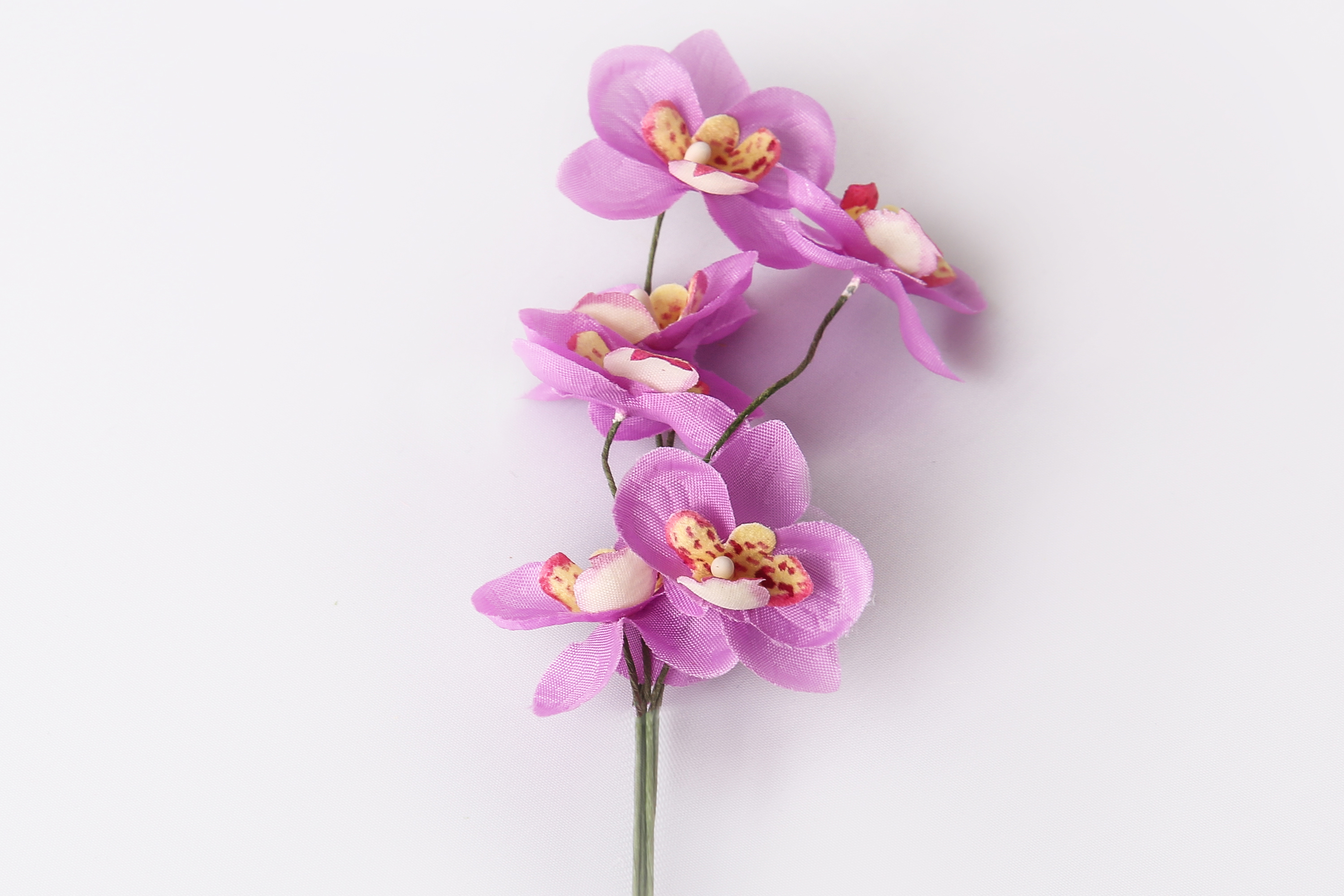 Miniorchidee, Blüte 2,5 cm am Stiel, 6 STk./Bund, flieder