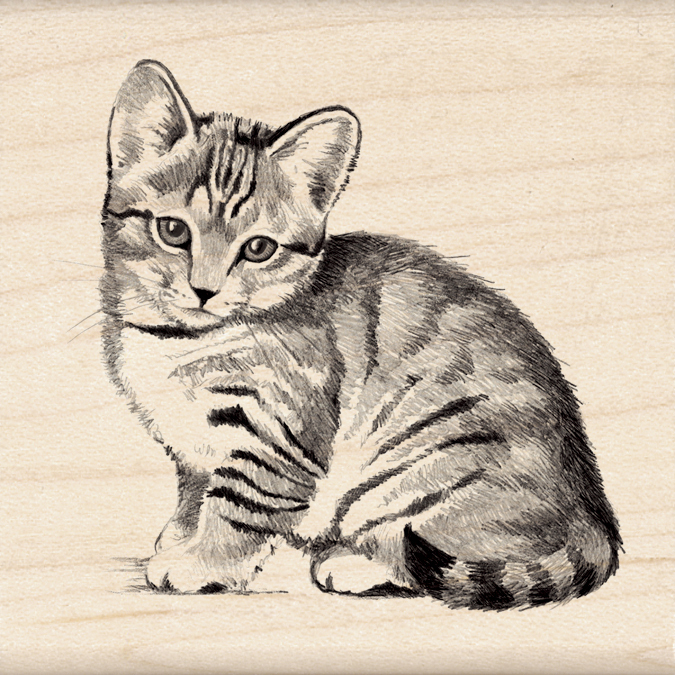 Inkadinkado Kitten Katze Kätzchen Gummistempel Mounted Rubber Stamp 2.25"X2.25"