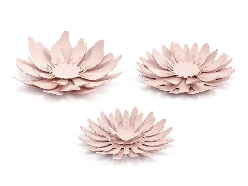 Paperdecorations Flowers Papierblumen Dekorations-Blumen 