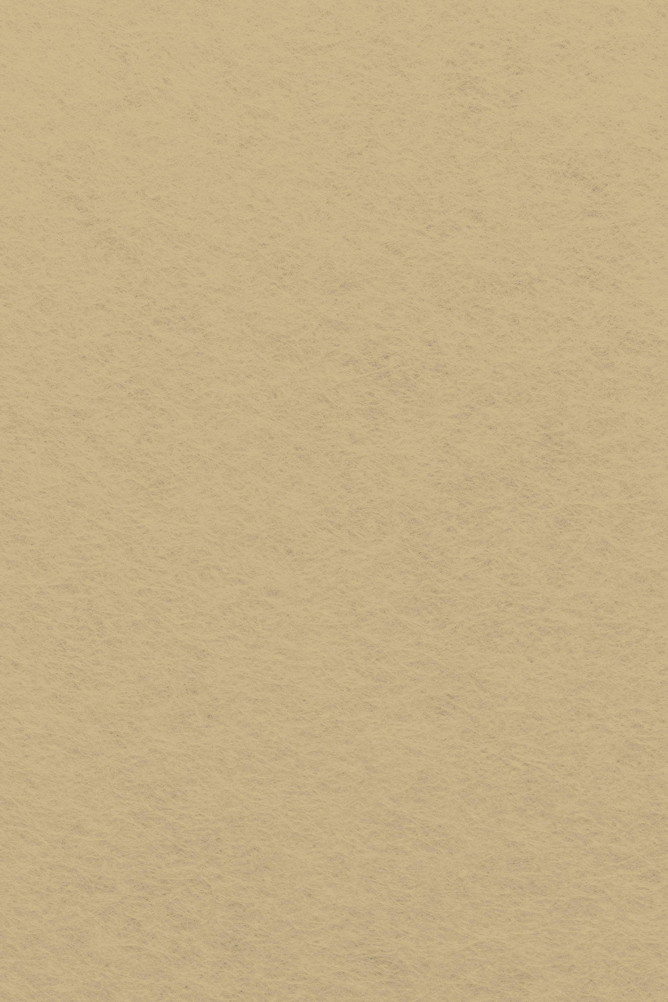 Bastelfilz Zuschnitt BEIGE 1mm 20x30cm