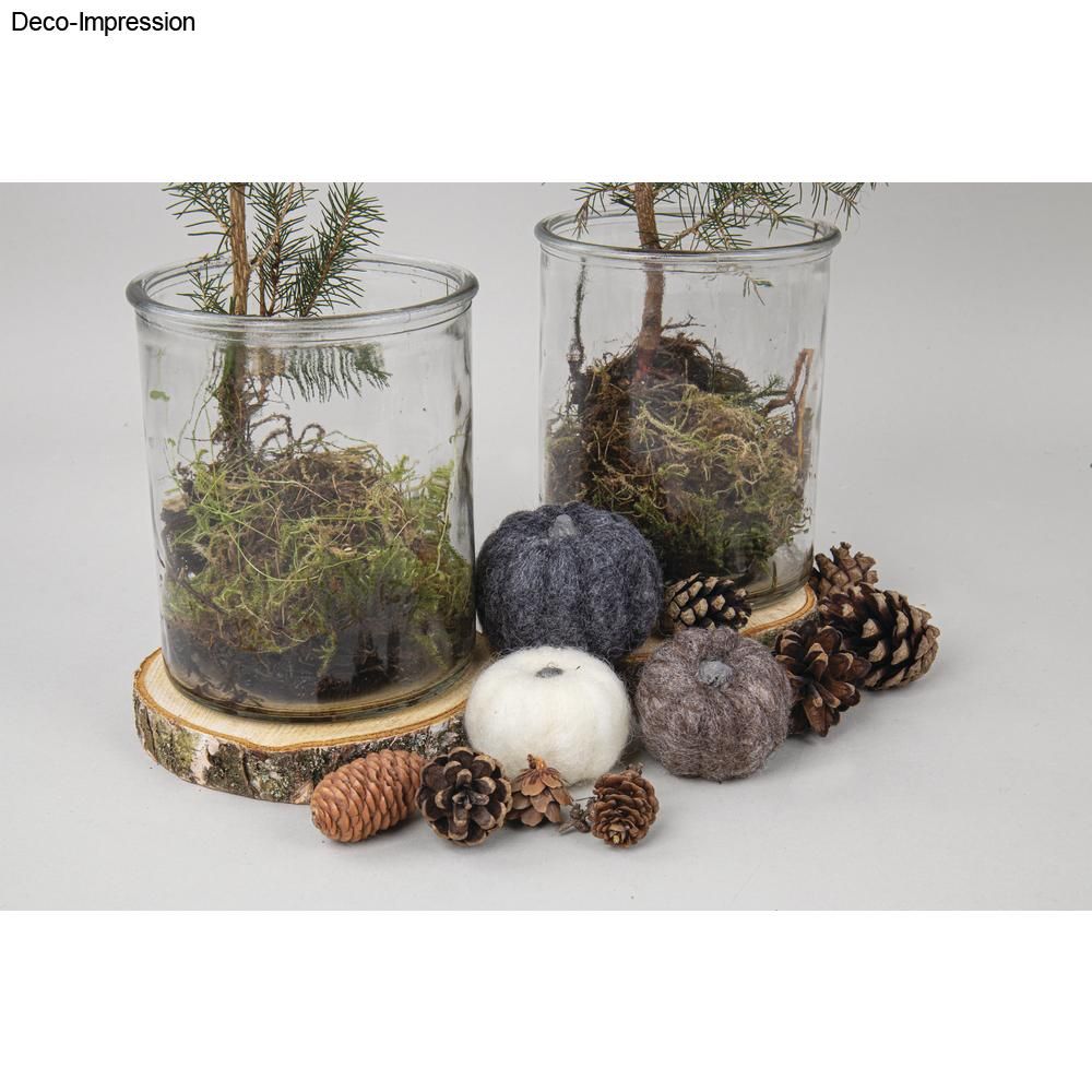 Holzscheibe rund natur 10-12cm ø 3Stück Holzscheibe rund natur 10-12cm ø 3Stück