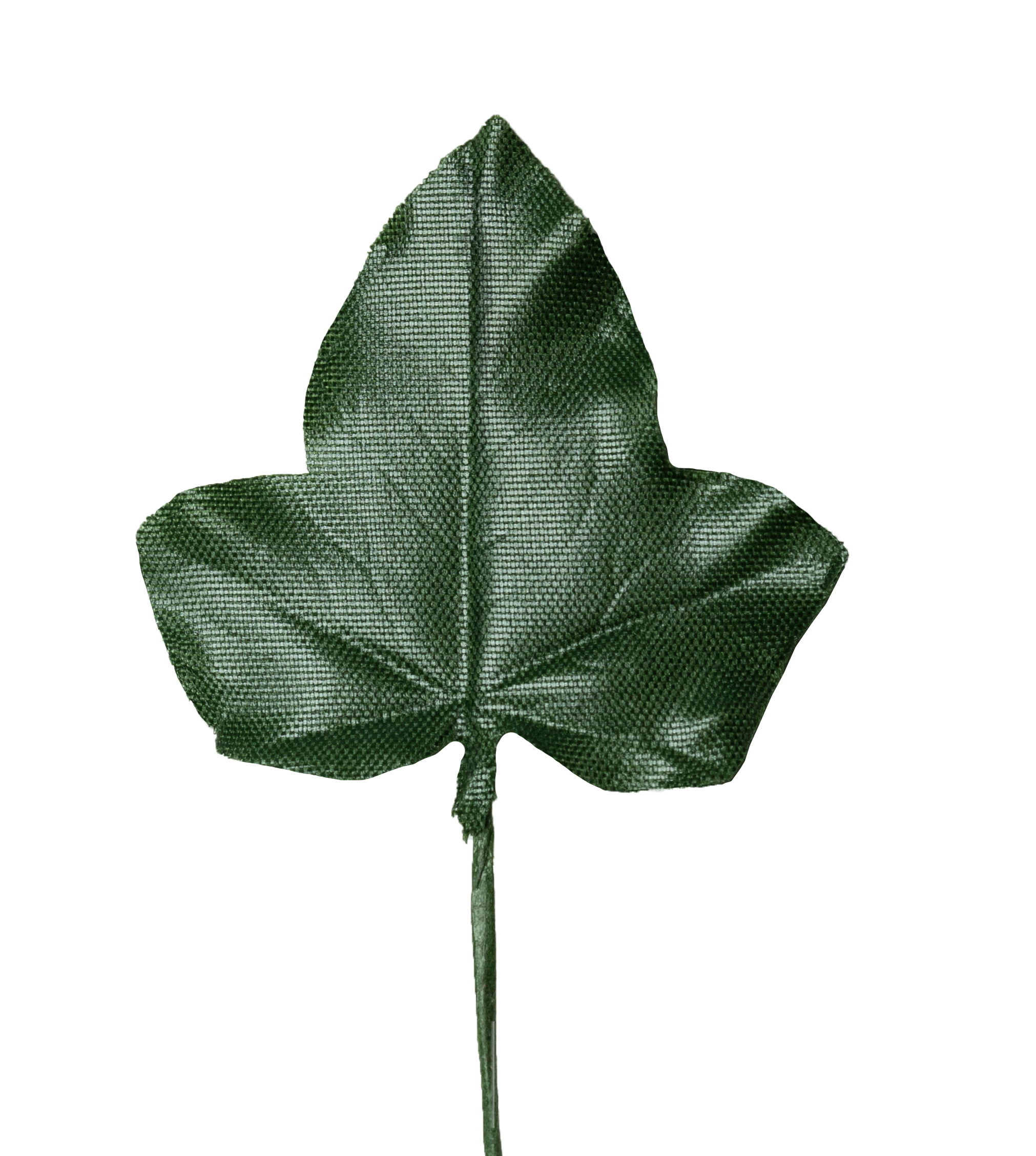 Efeublätterbund , 4,5 cm, dunkelgrün, 12 Stk./Bund
