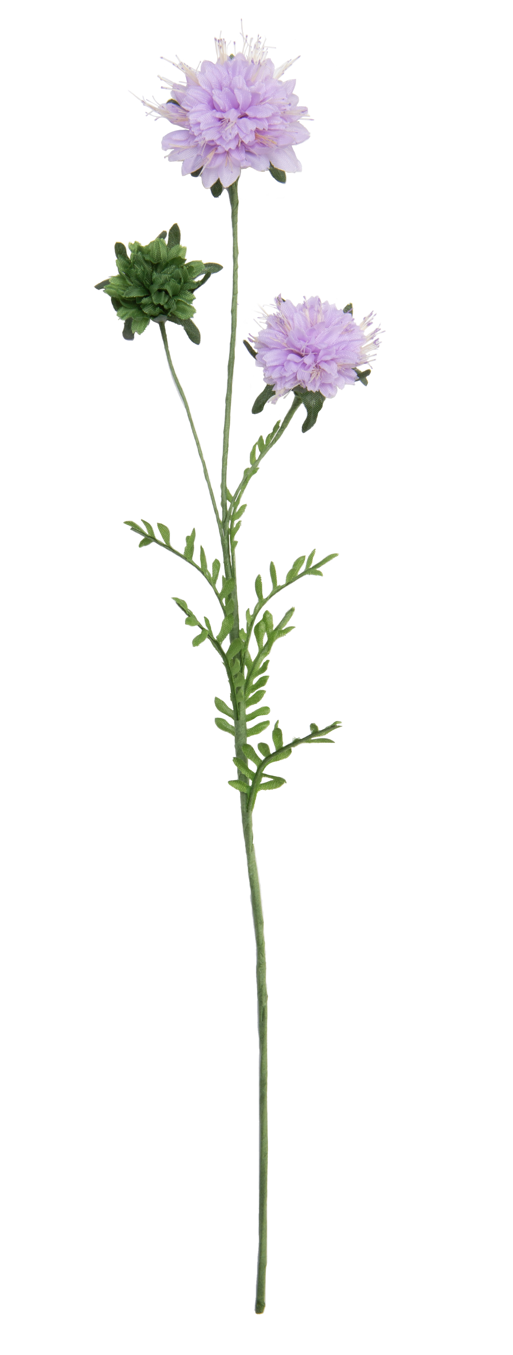 Scabiosisblume Zweig helllila ⌀ 36 mm ⬍ 32cm