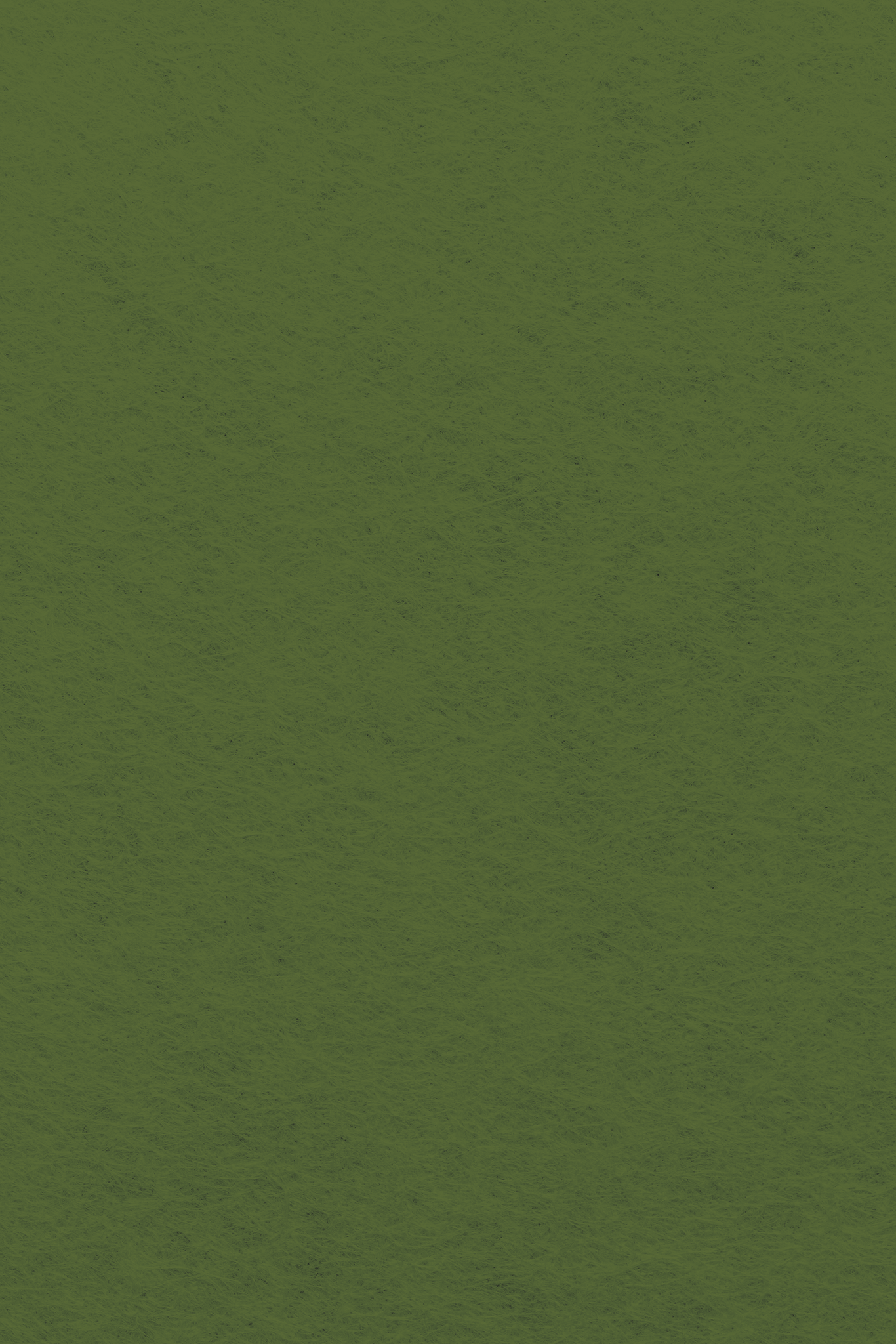 Bastelfilz Zuschnitt OLIV 1mm 20x30cm Bastelfilz Zuschnitt OLIV 1mm 20x30cm