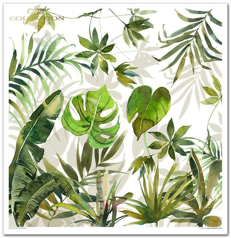 Tropical Dreams Papier-Set 10 Blatt 320x310mm 200g