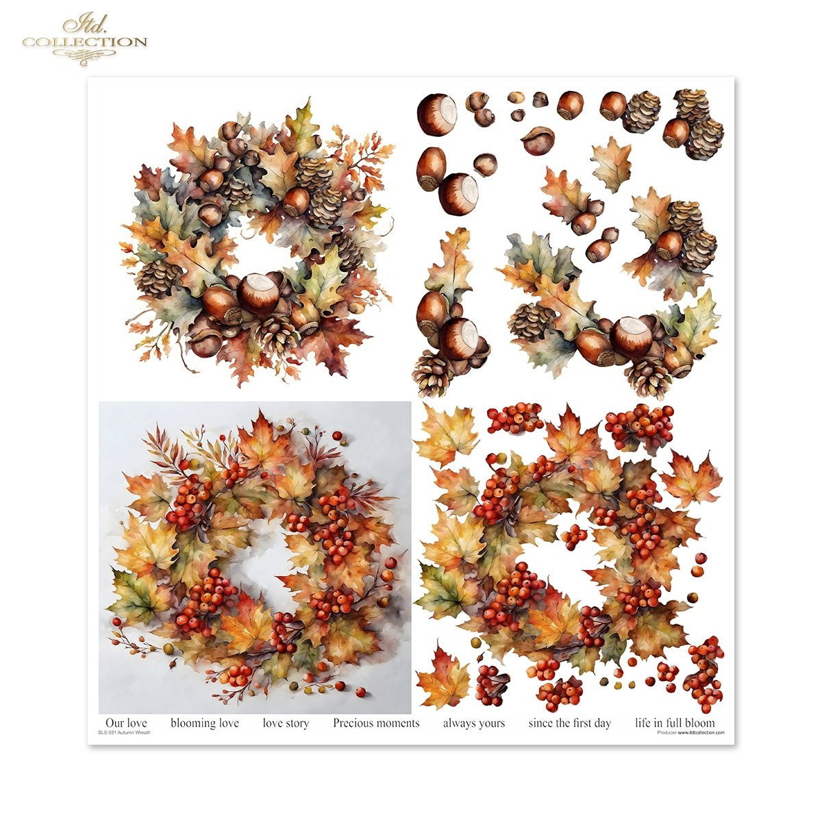 Papier-Set für Scrapbooking Autumn Wreath 3D Effekt 11 Bögen FSC Recycled 200g/m² Papier-Set für Scrapbooking Autumn Wreath 3D Effekt 11 Bögen FSC Recycled 200g/m²