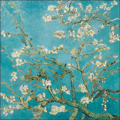 Ambiente Servietten Almond Blossoms Mandelblüte 33x33cm 20 Stück/Packung