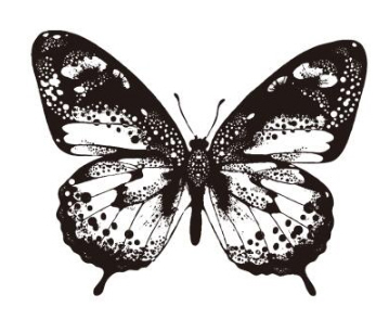 Silikonstempel Schmetterling Butterfly Clear Stamp 8,6x7cm