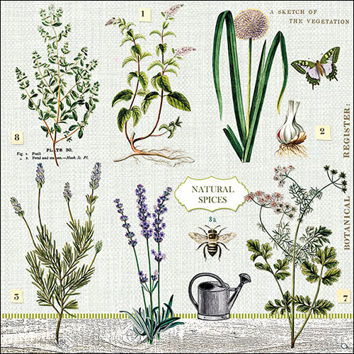 Ambiente Servietten Herbs Garden Gartenkräter 33x33cm 20 Stück 