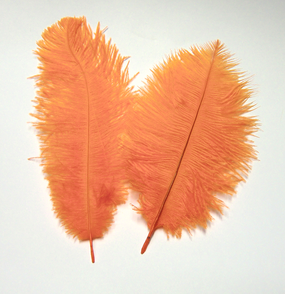 Straussen-Federn ca. 20 cm, 2 Stück/Pkg., orange