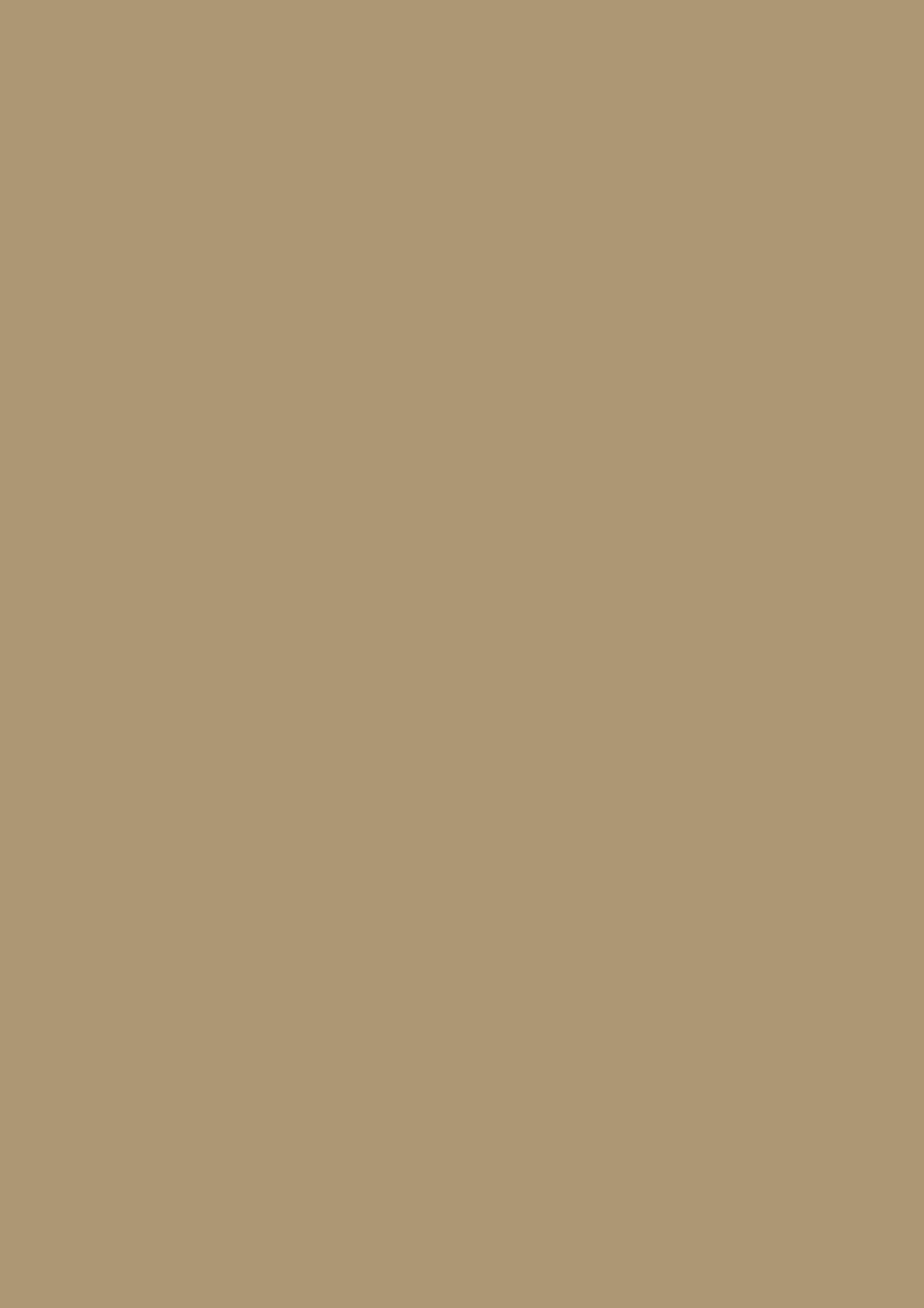 Fotokarton Uni sand 50x70cm 300g 5 Stk./Pkg Fotokarton Uni sand 50x70cm 300g 5 Stk./Pkg