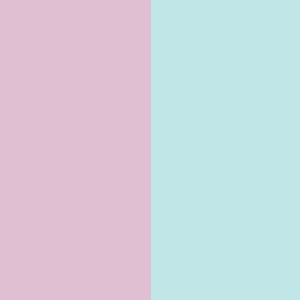 Sonnenblume rosa-blau