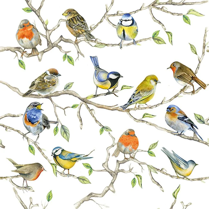 Ambiente Servietten Birds Meeting 33x33cm 20 Stück/Packung 