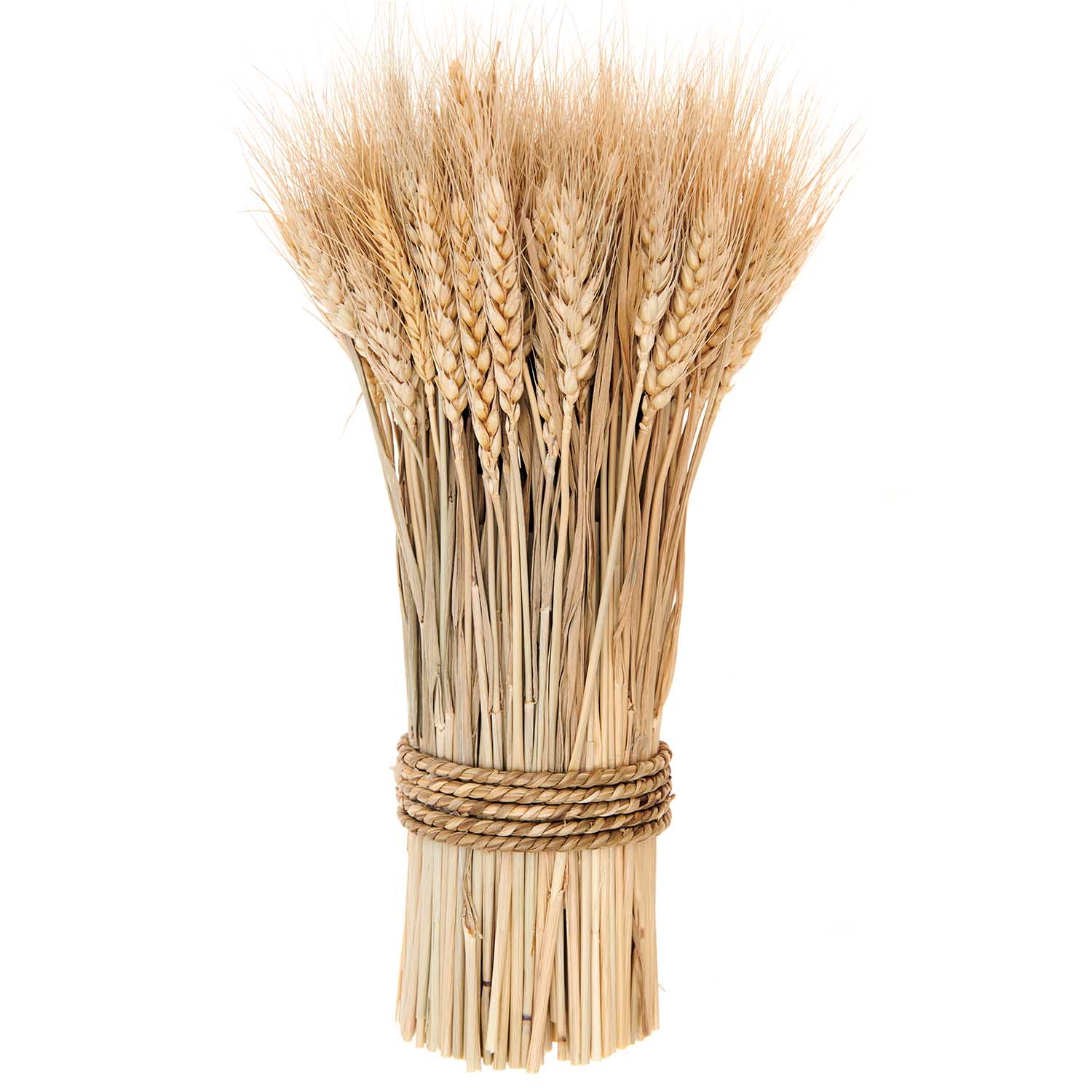 Weizenbund natur Wheat bunch 150g 30cm