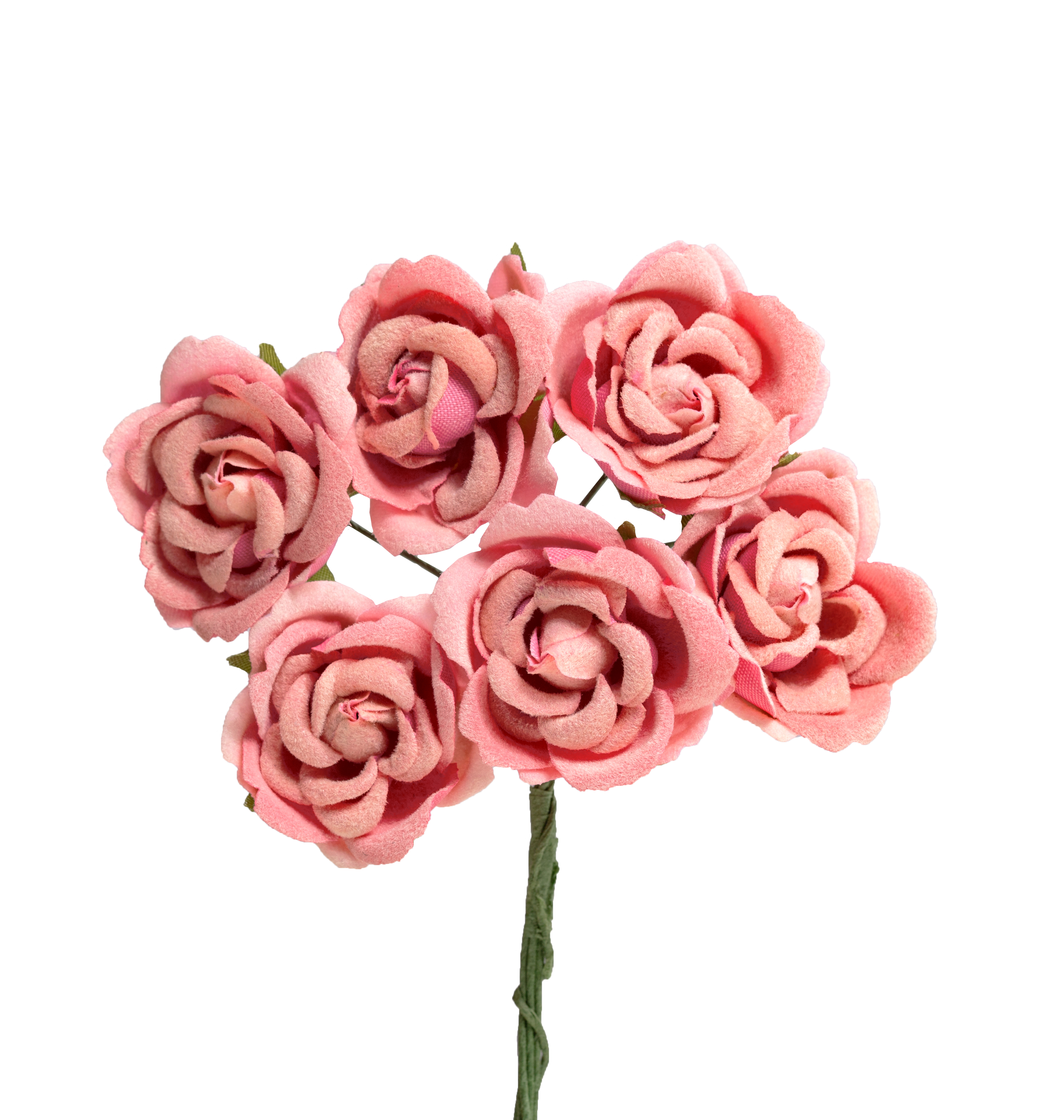 Samtröschen groß, 32mm, 6 Stück/Bund, rosa