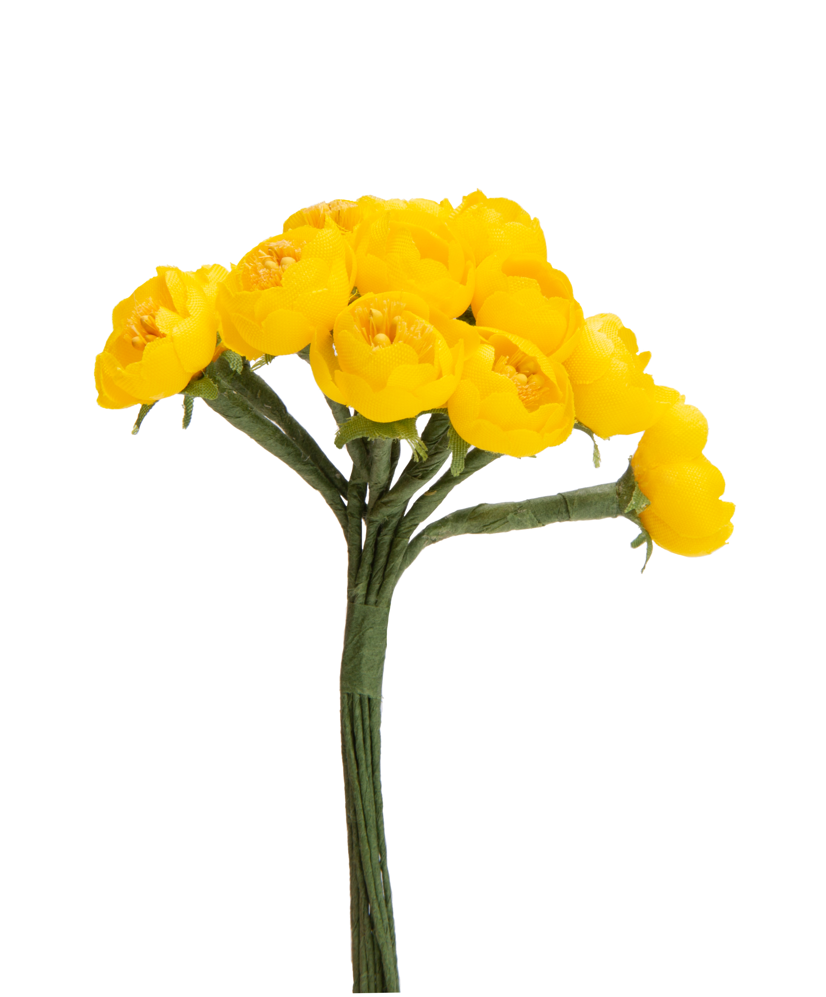 Dotterblume auf Drahtstiel goldgelb  ⌀ 16 mm 12 Stück/ Bund 