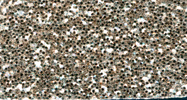 Brilliantglitter 5 g caramel