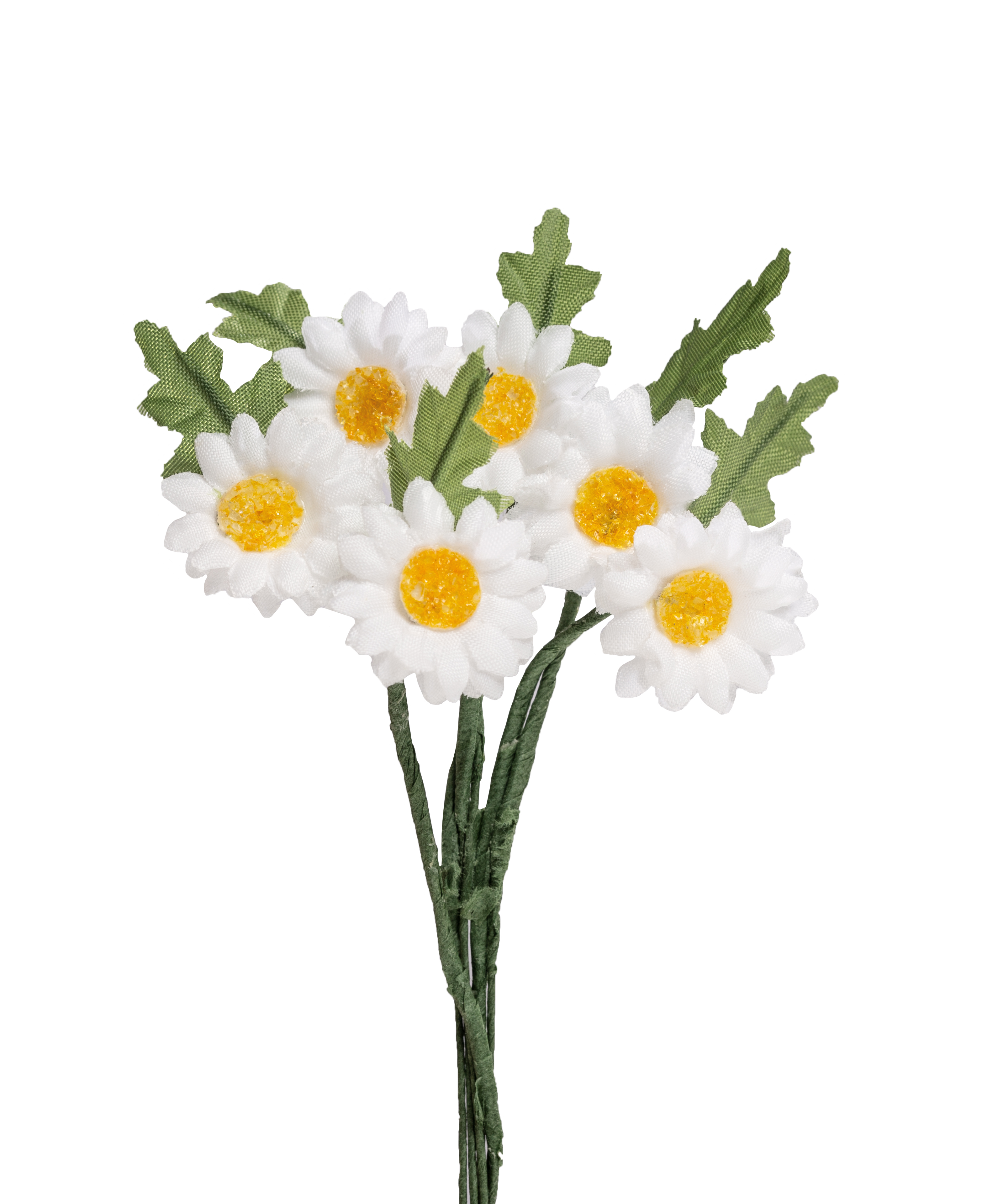 Kleine Margariten, Blüte ca. 20 mm, per Bund