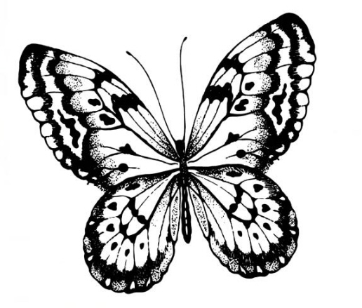 Silikonstempel Schmetterling Butterfly Clear Stamp 9,5x8,5cm