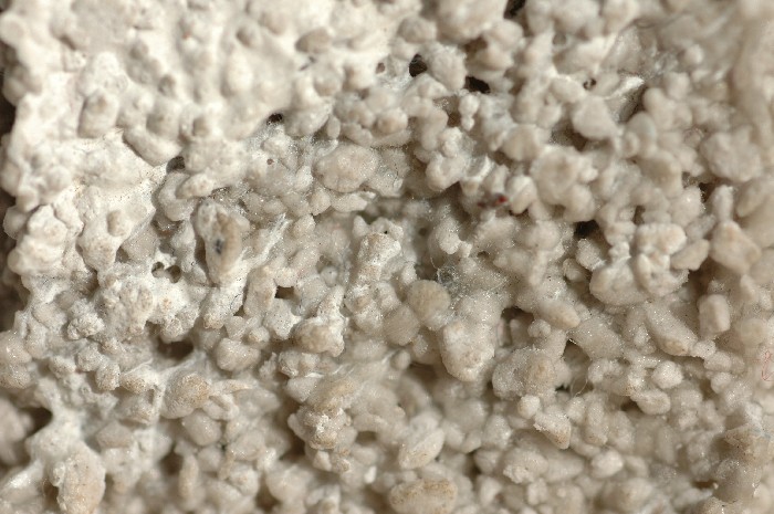 Golden Extra Coarse Pumice Gel