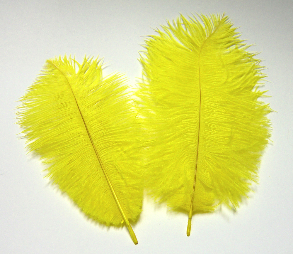 Straussen-Federn ca. 20 cm, 2 Stück/Pkg., gelb