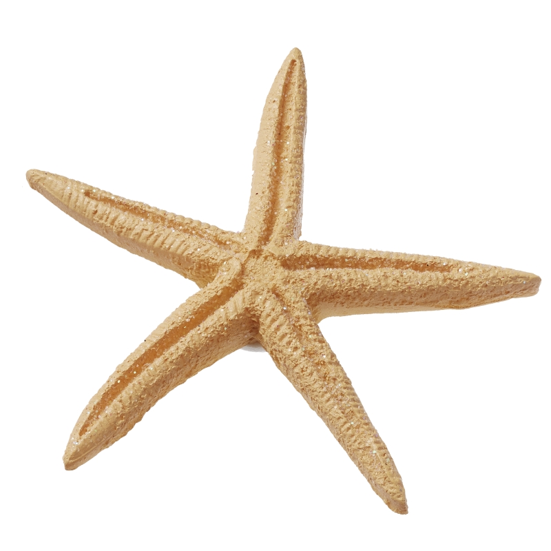 Seestern Deko 6,5cm mit Klebepunkt, Kunststoff, 4 Stk./Btl.