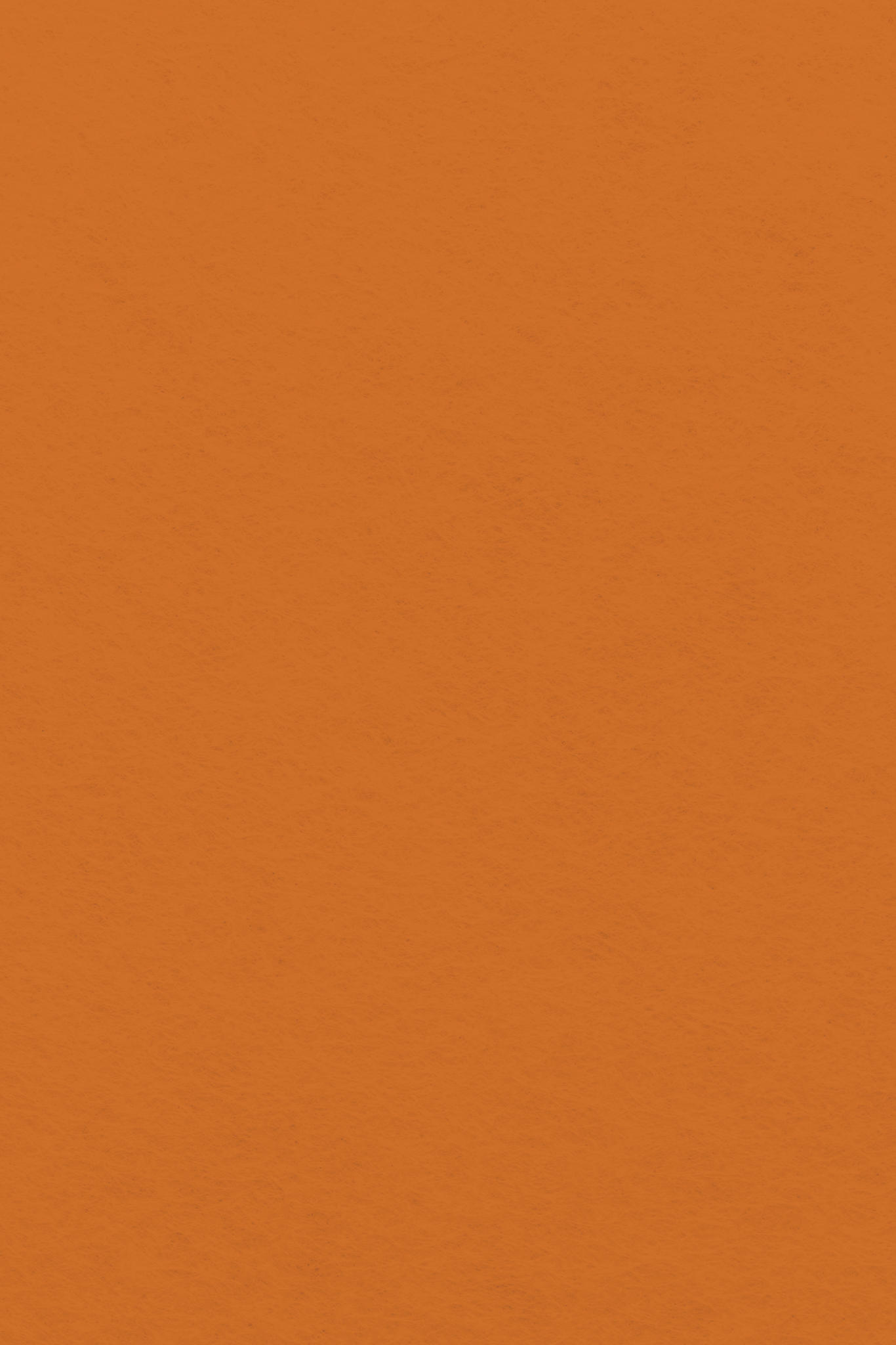 Bastelfilz Zuschnitt ORANGE 1mm 20x30cm Bastelfilz Zuschnitt ORANGE 1mm 20x30cm