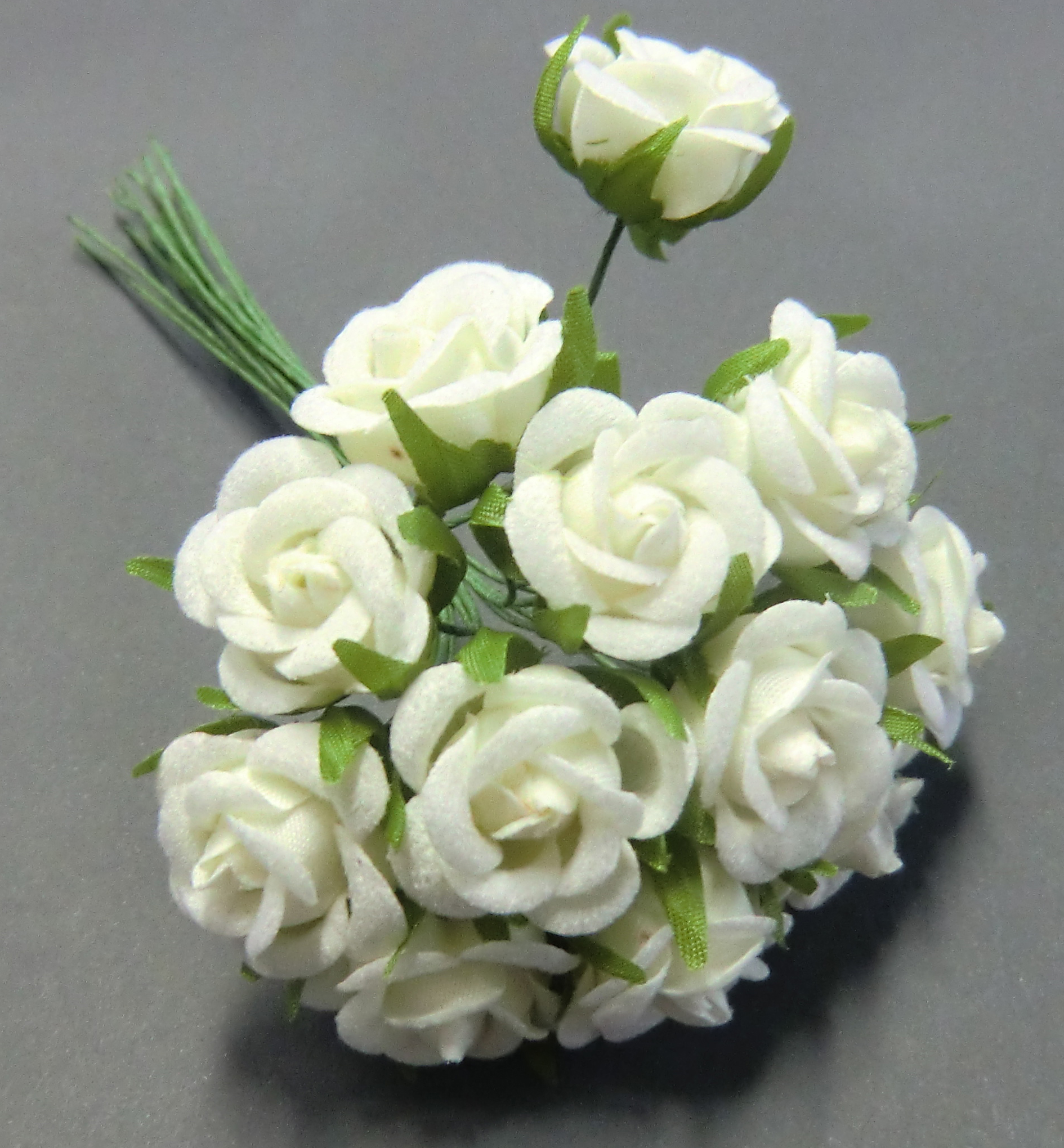 Kleinblumen Samtröschen, 22mm, 12 Stk./Bund, creme