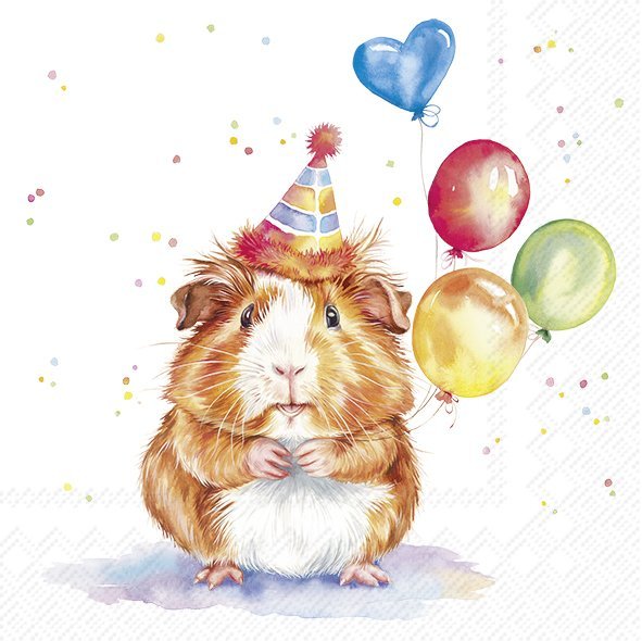 Servietten BIRTHDAY KALLI Meerschweinchen 33x33cm 3-lagig 20 Stück / Packung Servietten BIRTHDAY KALLI Meerschweinchen 33x33cm 3-lagig 20 Stück / Packung