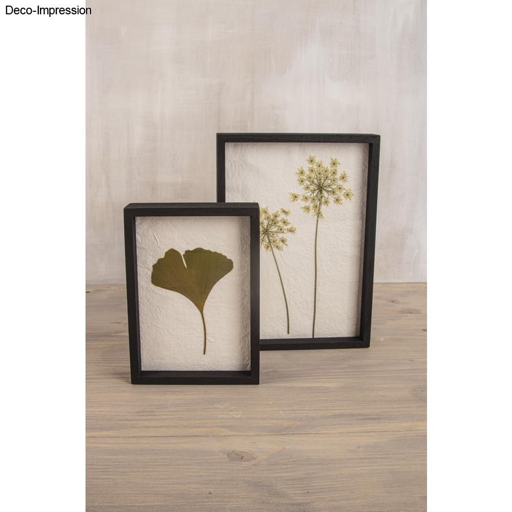 Zellstoffplatten weiß 20x21cm 5 Stück Zellstoffplatten weiß 20x21cm 5 Stück