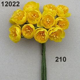 Dotterblume auf Drahtstiel goldgelb  ⌀ 16 mm 12 Stück/ Bund 