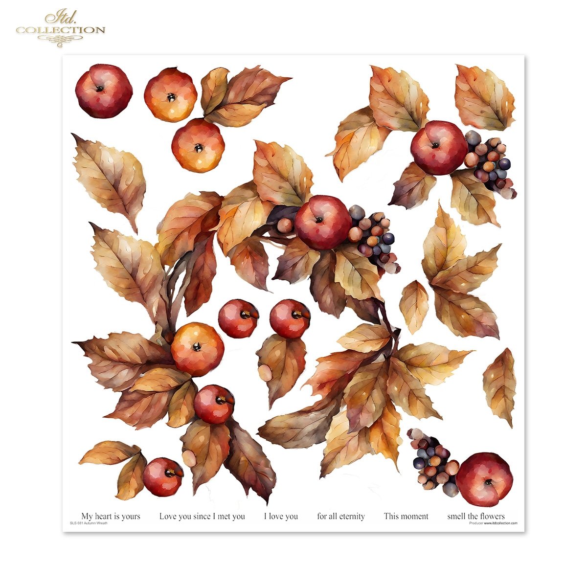Papier-Set für Scrapbooking Autumn Wreath 3D Effekt 11 Bögen FSC Recycled 200g/m² Papier-Set für Scrapbooking Autumn Wreath 3D Effekt 11 Bögen FSC Recycled 200g/m²