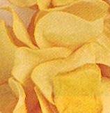 Papierblütenblätter gelb