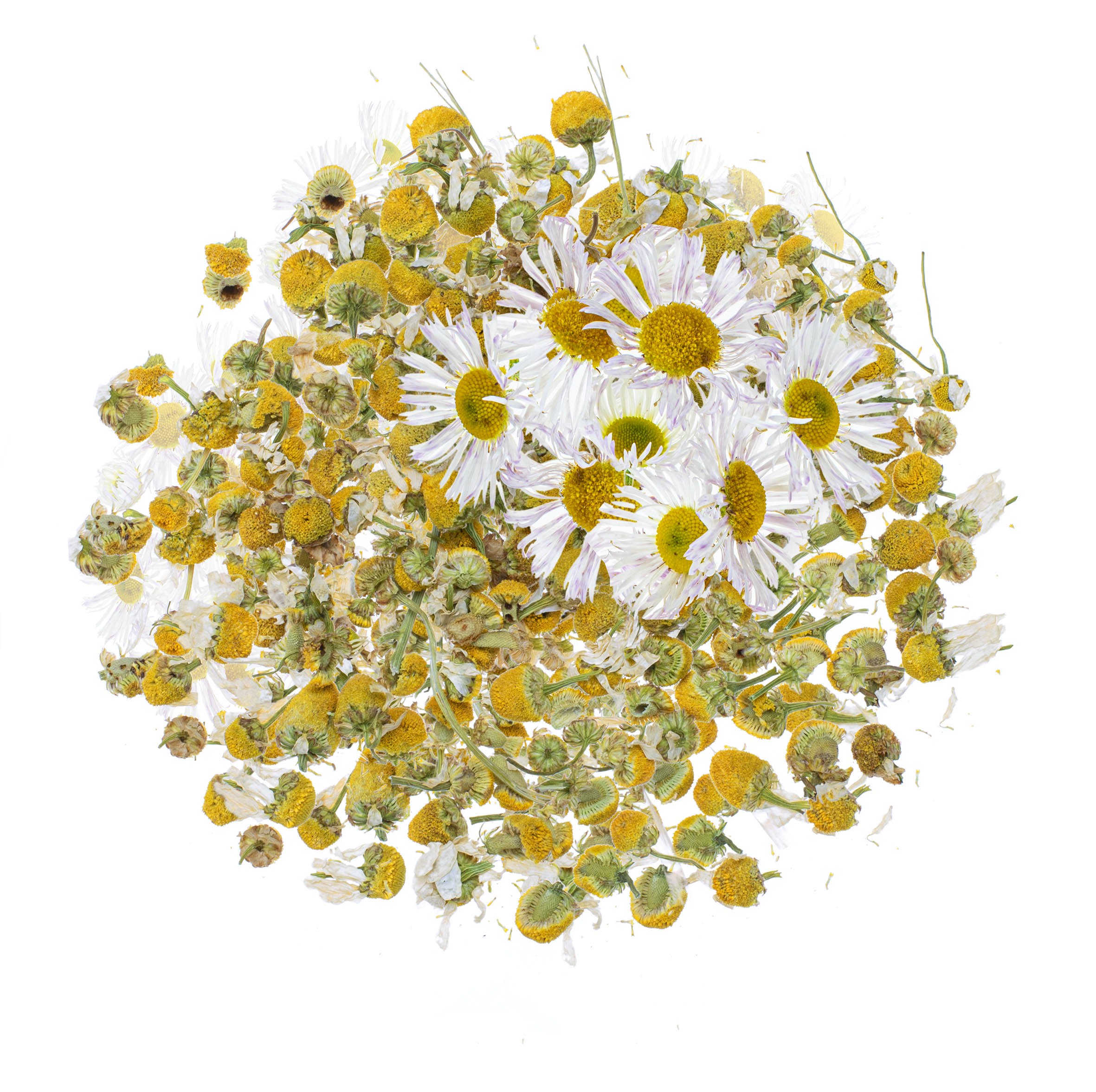 Blüten Kamillenblüten 3g 