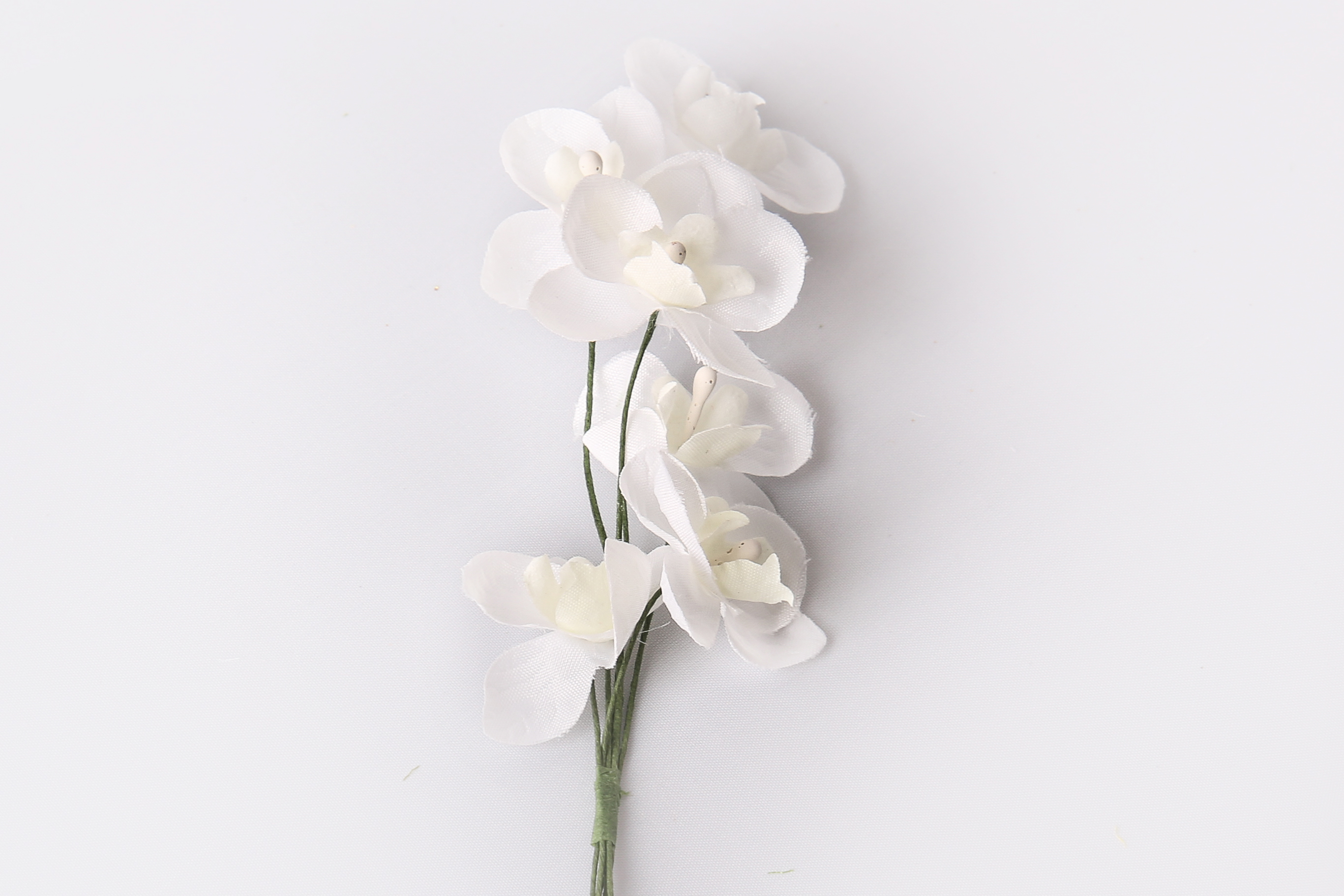 Miniorchidee weiß, 6 Blüten, 35 mm dm,
