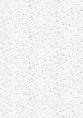 Prägekarton Roma A4 220g/m²