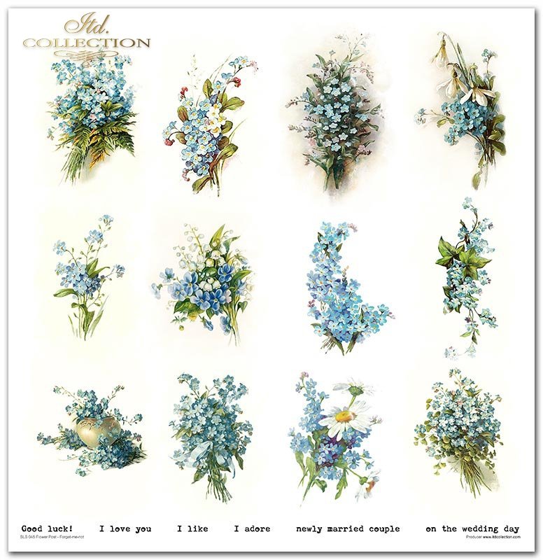 Scrapbooking Papier Set Flower Post Forget-me-not 10 Bögen 31x32cm 200g/m²