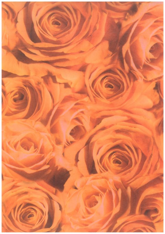 Transparentpapier "Rosen" apricot, A4