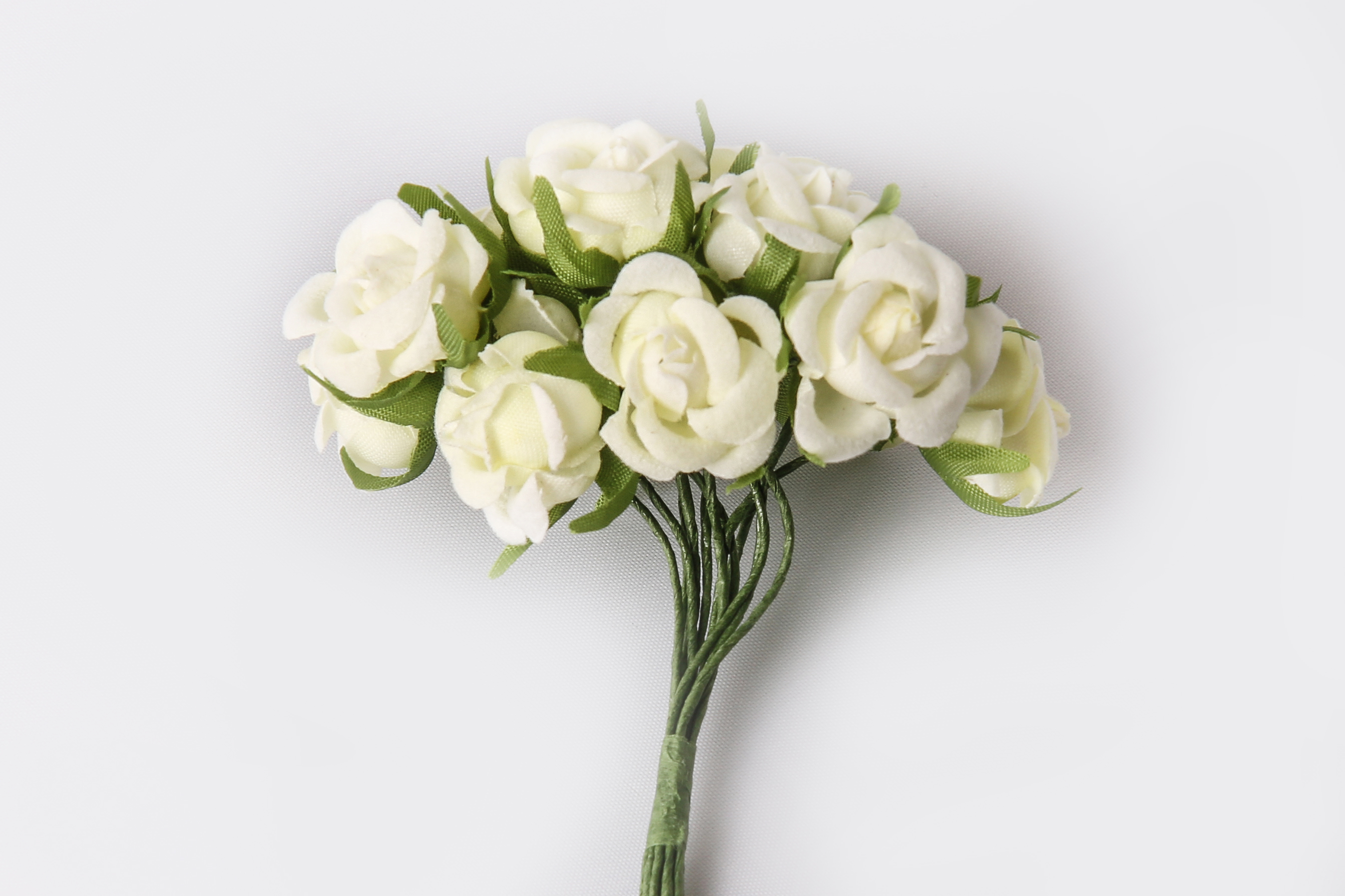 Kleinblumen Samtröschen, 22mm, 12 Stk./Bund, creme