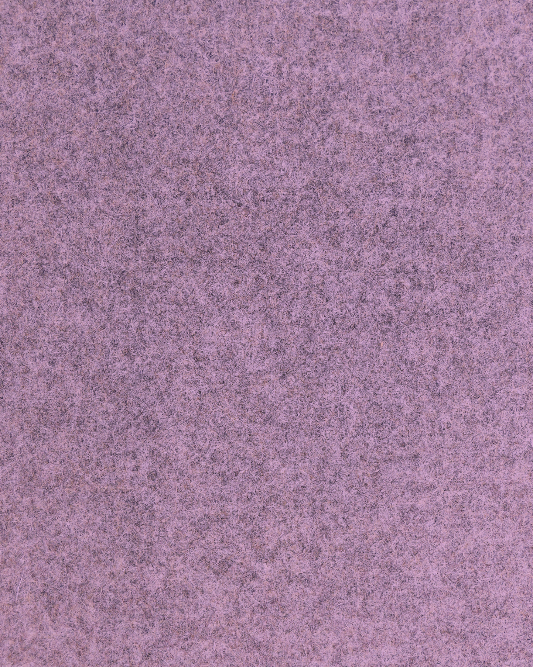 lavendel meliert