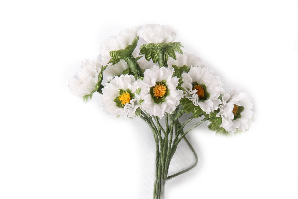 Gänseblümchen im Bund, 12 Stk. Blüte 15 mm