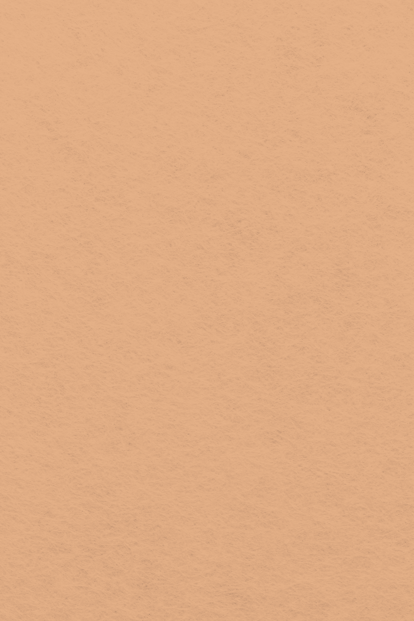 Bastelfilz Zuschnitt HAUTTON 1mm 20x30cm Bastelfilz Zuschnitt HAUTTON 1mm 20x30cm