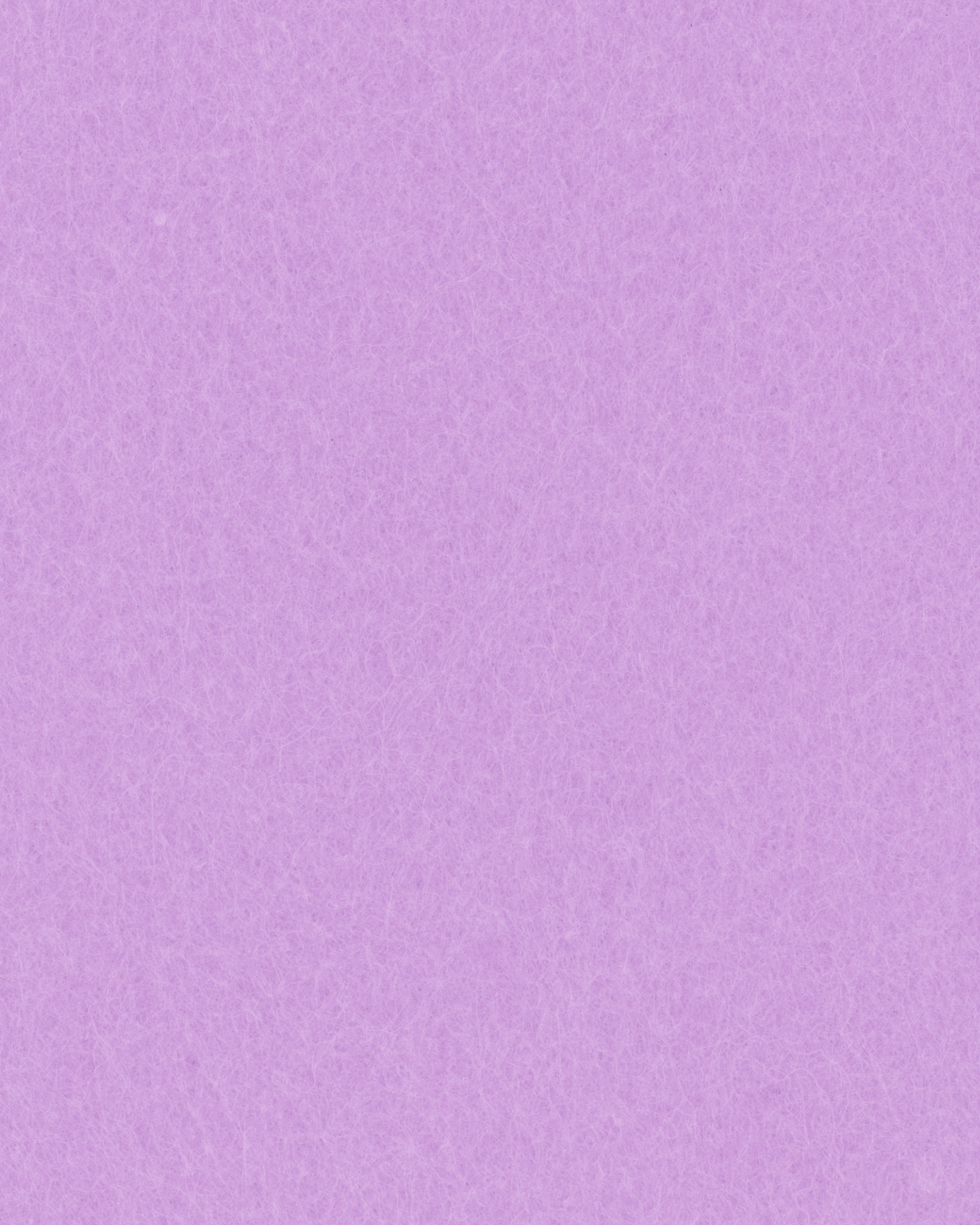 lavendel