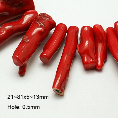 Astkoralle, 20-50 mm lang, 5-13 mm, per Stück